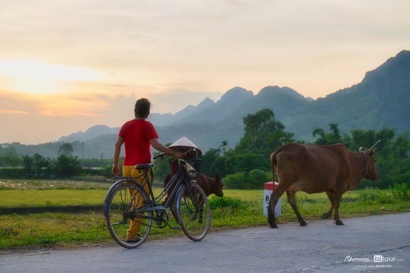 vida local en la reserva Van Long - NInh Binh